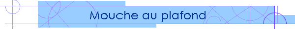 Mouche au plafond