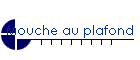 Mouche au plafond