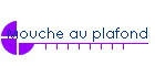 Mouche au plafond