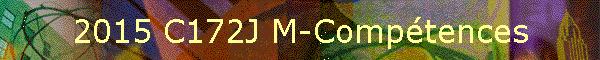 2015 C172J M-Comptences