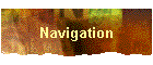 Navigation